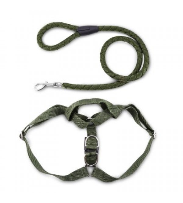 Pet Dog Halter Harness Traction Rope